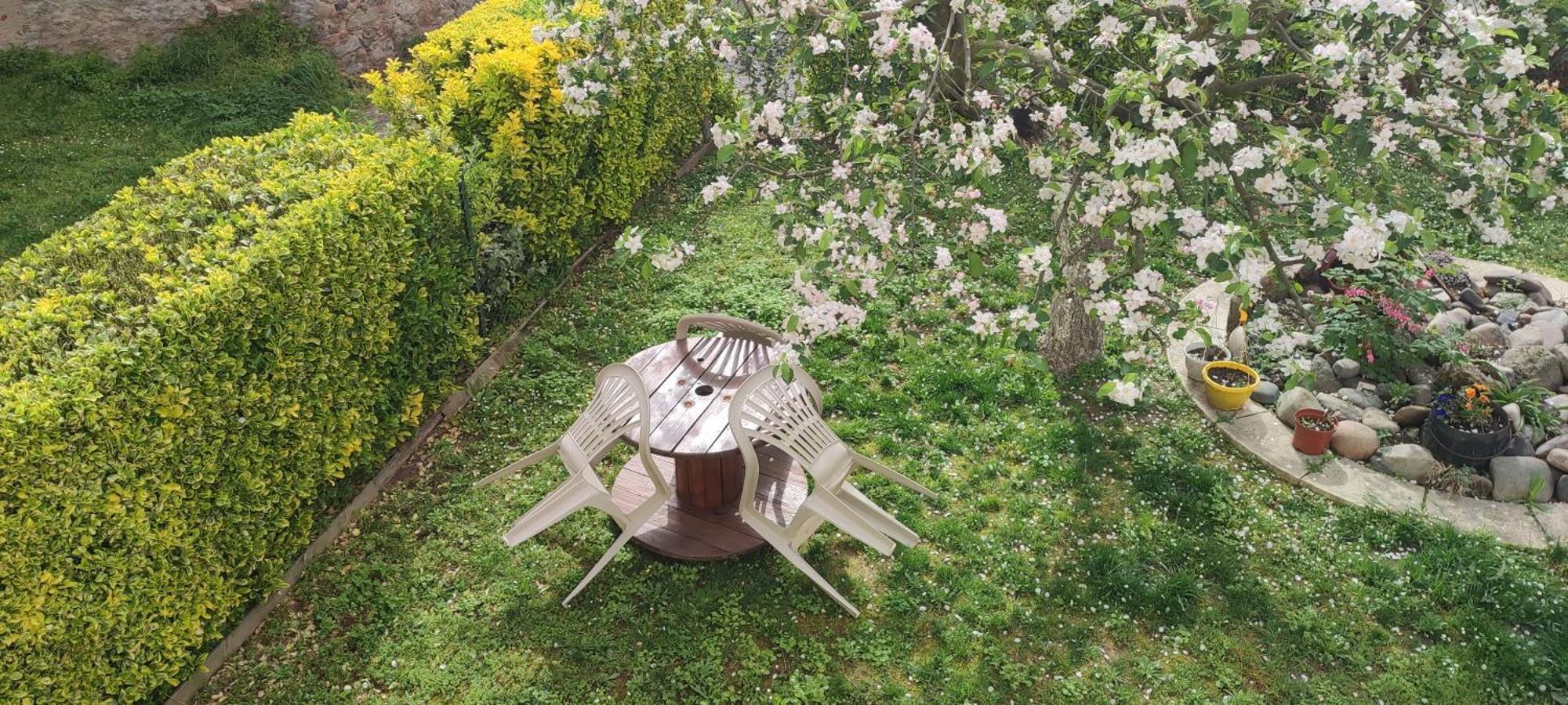 La Maison Du Pecheur Livinhac-le-Haut Exteriör bild